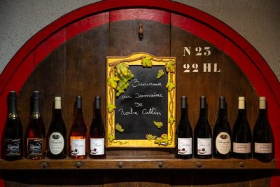 Caveau Domaine de Roche cattin