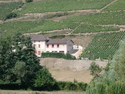 QUINCIE Gîte de Cherves NESME Daniel