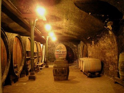 Lantignie_Chateau_Basty