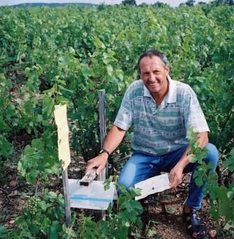Domaine du Sallerin, Michel dans les vignes