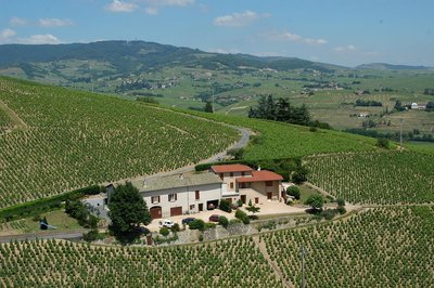 Domaine du Coteaux des Oliviers- Quincié