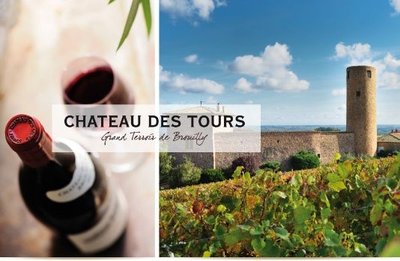 Château des Tours