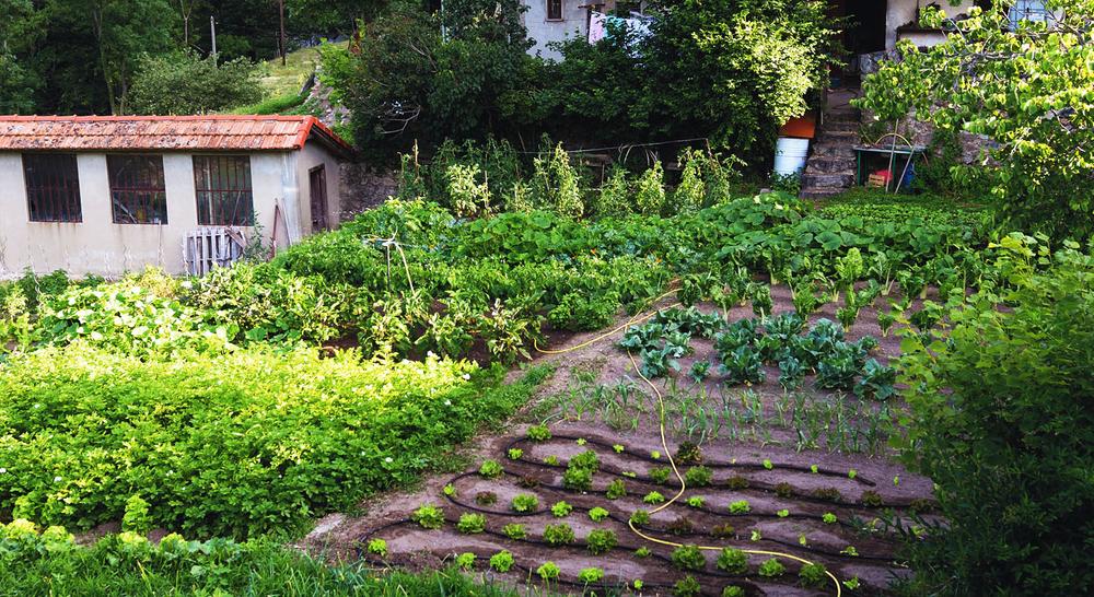Potager
