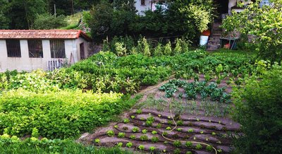 Potager