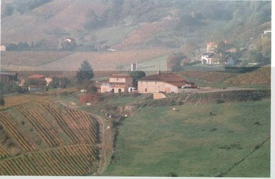Domaine DUMAS-SAPIN