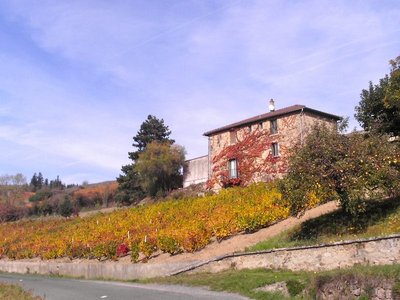 DESMURES Hubert Chiroubles
