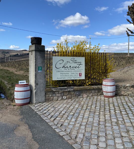 Domaine Steeve Charvet à Chiroubles
