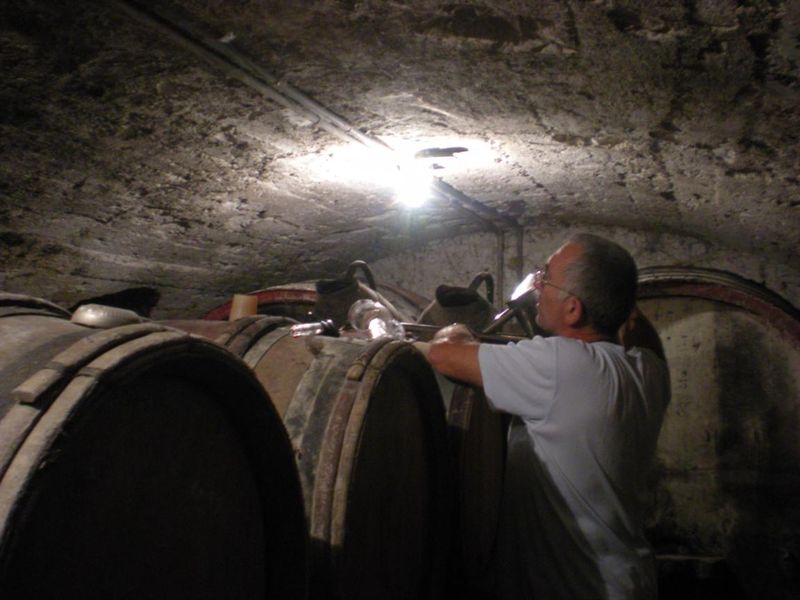 REGNIE DOMAINE DES FORCHETS BRAILLON