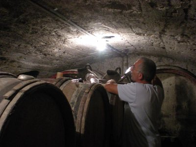 REGNIE DOMAINE DES FORCHETS BRAILLON