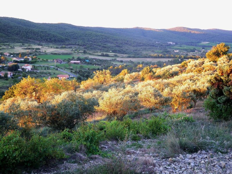 la colline