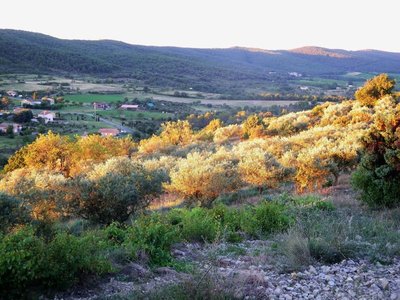 la colline
