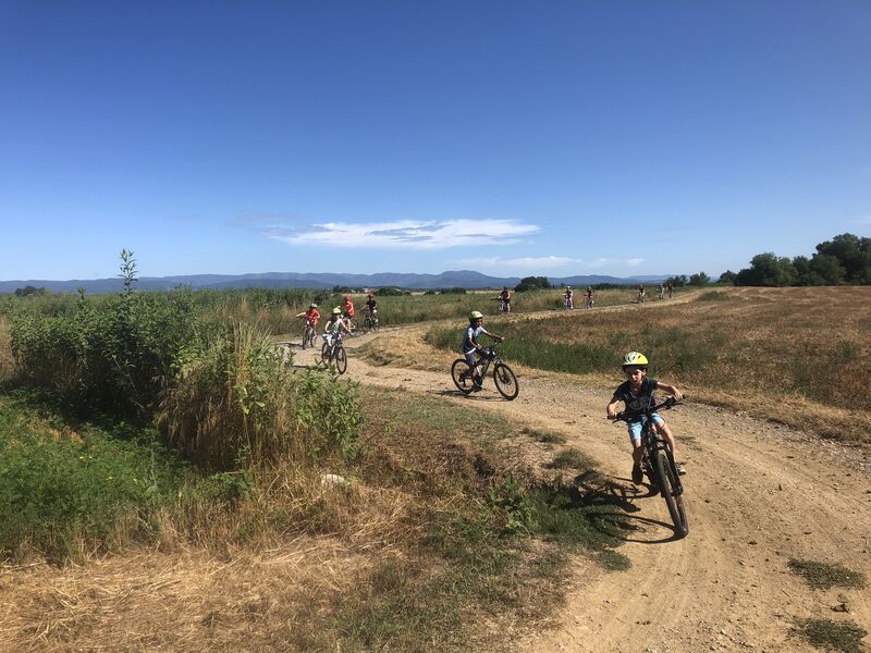 VTT - Albatros Location