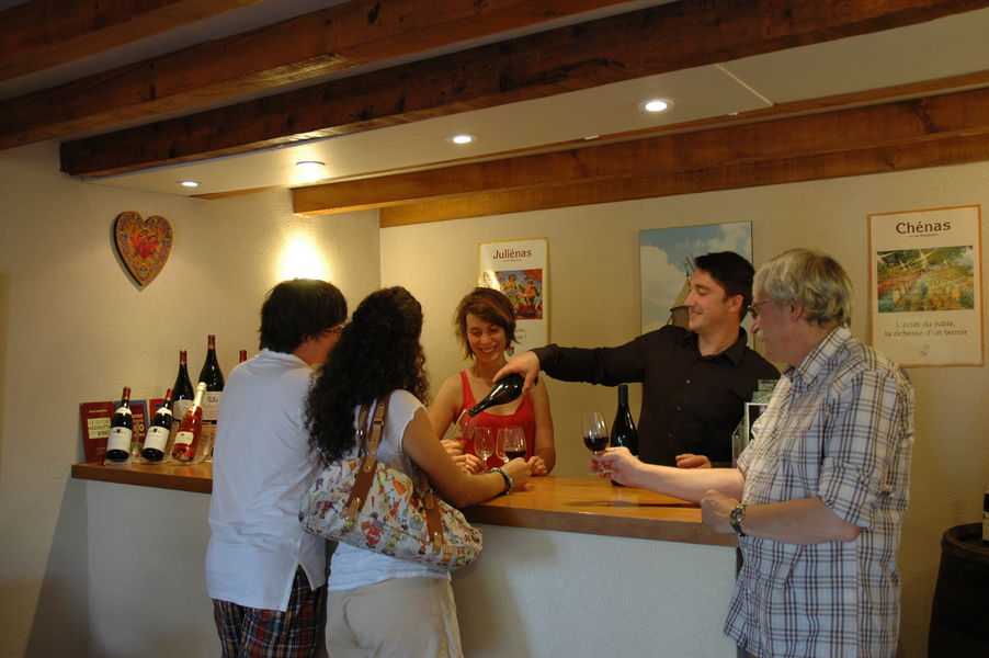 Domaine HIRSCH à CHENAS