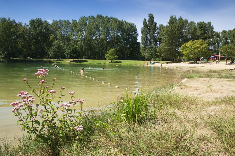 lac