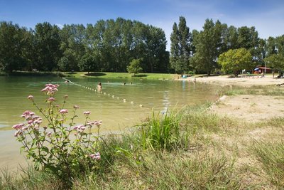 lac