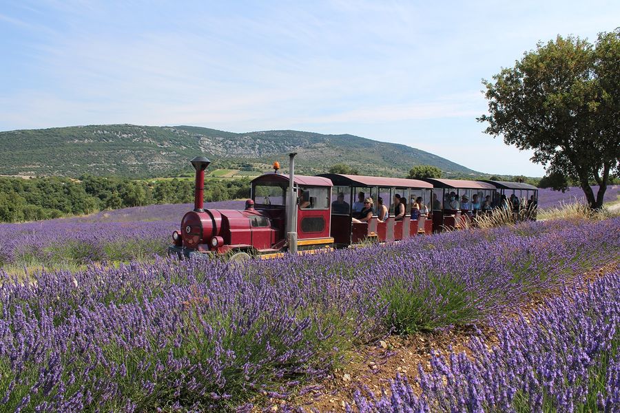 Tour en train