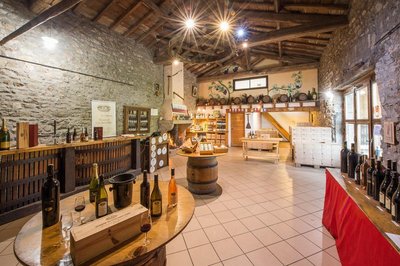 Domaine du clos Saint Marc_Taluyers