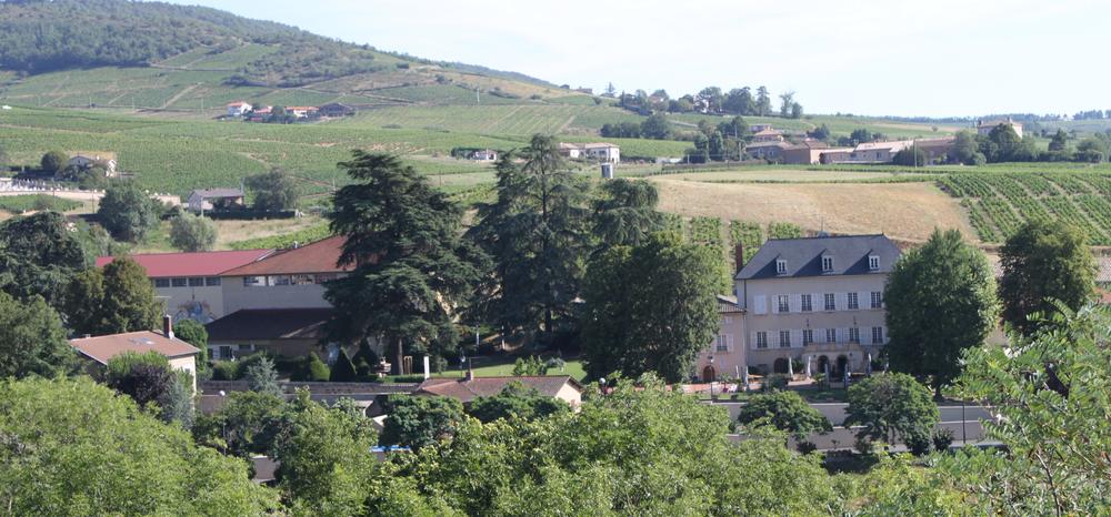 Cave du Château des Loges