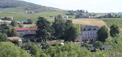 Cave du Château des Loges