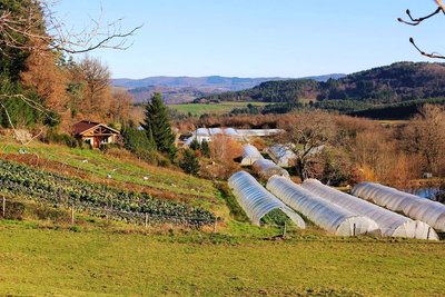 Le Jardin des cèdres - Serre 1