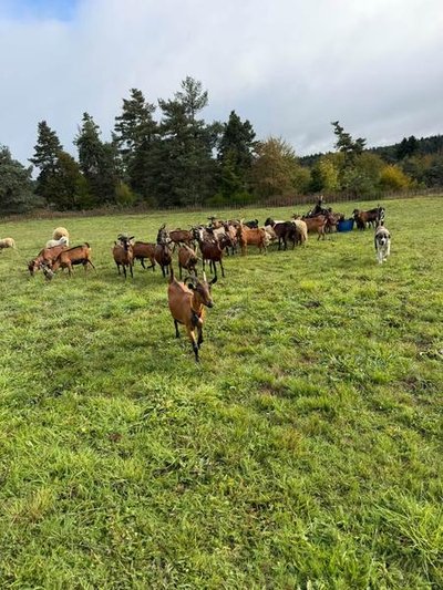 La ferme des sablières_Issanlas