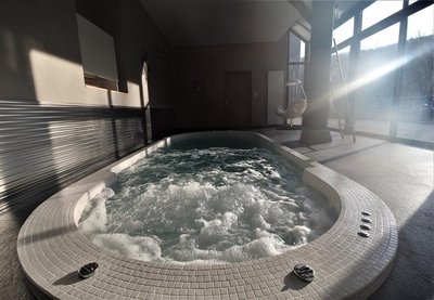 Grand gîte - 20 personnes - "Au Songe de l'Eau" à Savigny dans le Lyonnais - Rhône : le spa de nage avec balnéo.