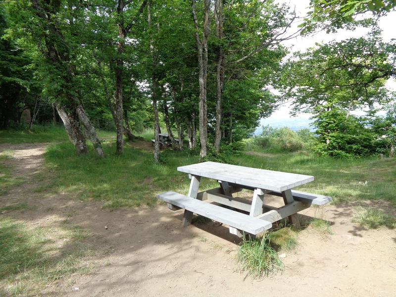 Table de pique-nique