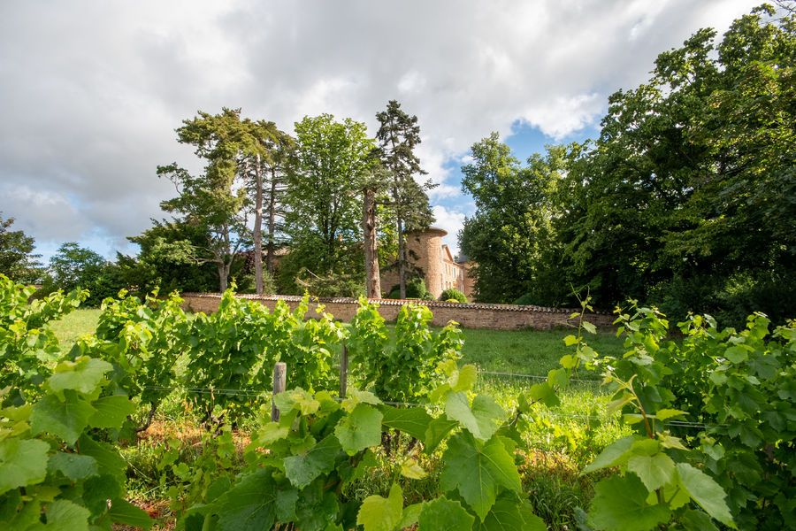 Château de Champ-Renard