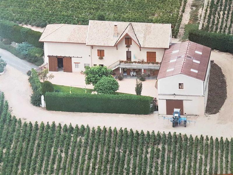 Chambres d'Hôtes "Au Domaine de Robert" à Fleurie, dans le Beaujolais - Rhône.