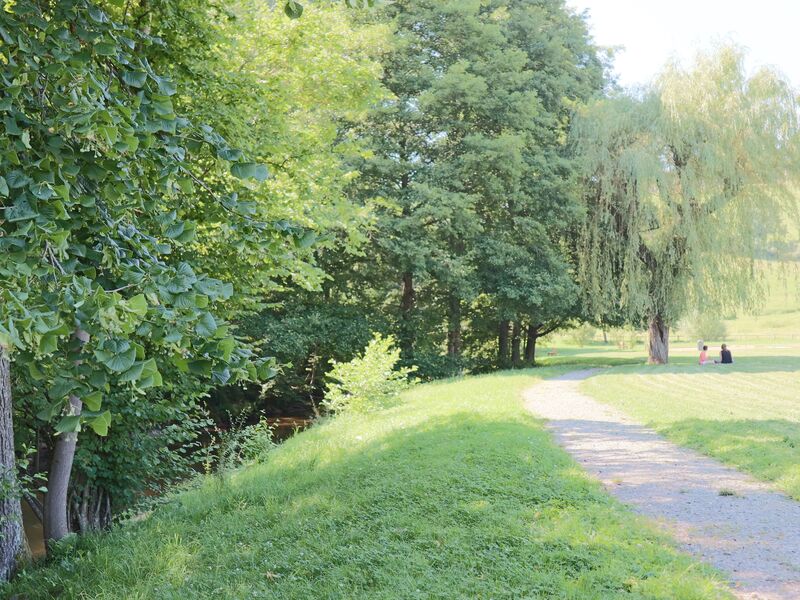 Parc des Pinasses