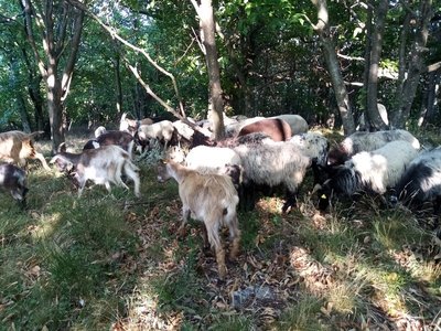 Ferme de Blaizac