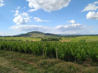 Domaine Chavrier