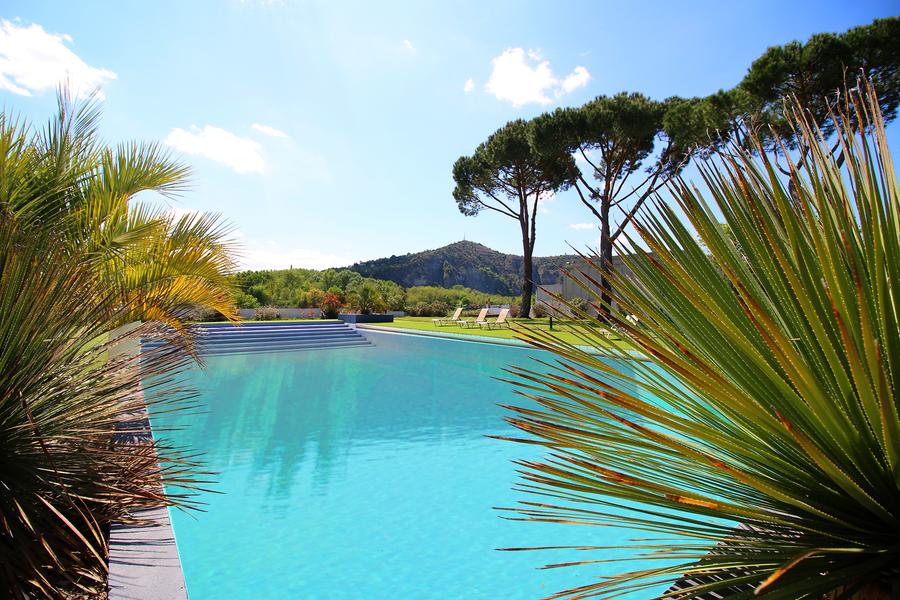 PISCINE PALMIER