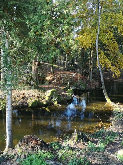 Etang du Crêt