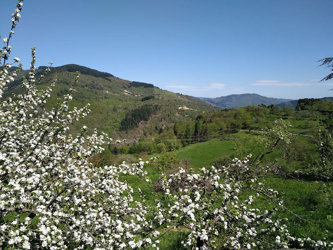 Ferme Boulon