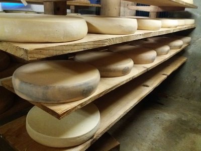 Fromages Ferme de Belleydoux