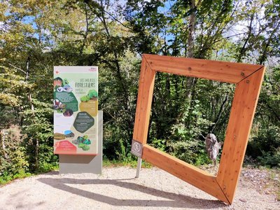 Sentier d'interprétation à Dinoplagne