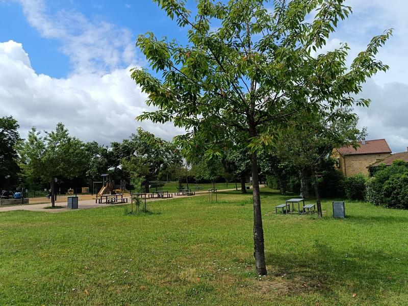 Aire de pique-nique du Parc Dérobert_Charlieu