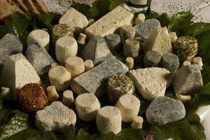 DSC_0237_copie_1_1