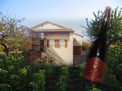 Domaine Guy VOLUET - JULIENAS
