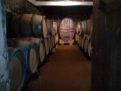 Domaine du Granit Doré à JULLIE