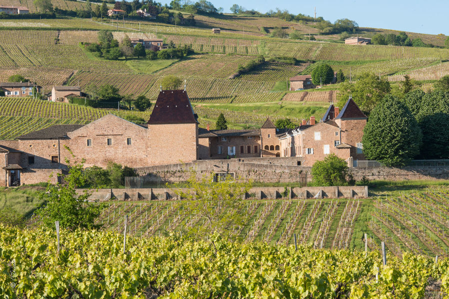 Le Château