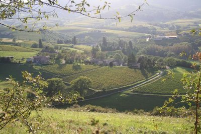 Domaine Cotes de Remont