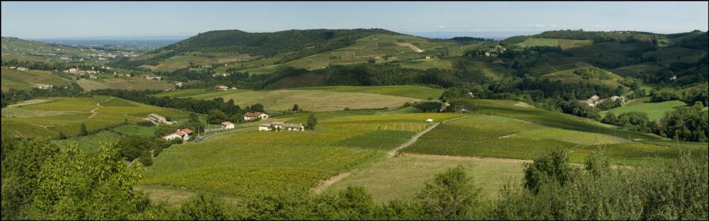 Domaine Le Bourlay