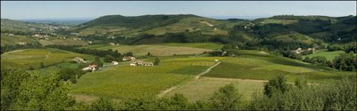 Domaine Le Bourlay