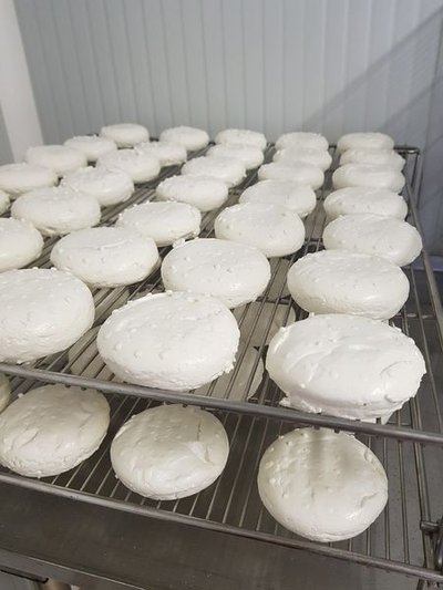 Fromages de chèvre en cours de séchage sur une grille