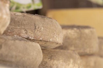 GAEC Mercier Frères_Trémouille