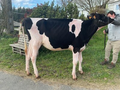 Ferme de Bassignac_Bassignac