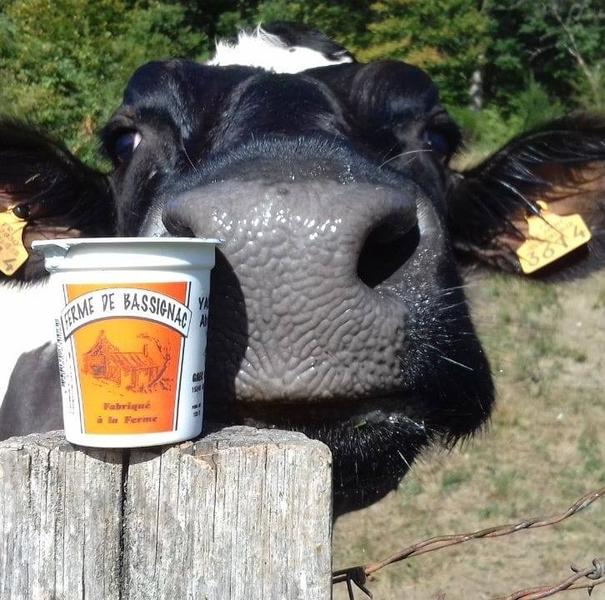 Ferme de Bassignac_Bassignac