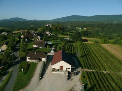 Vue aérienne du caveau des Demoiselles